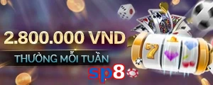 sp8