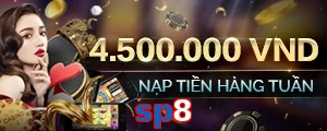 sp8