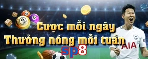 sp8
